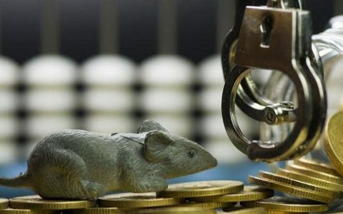 厦门狮子国际期货